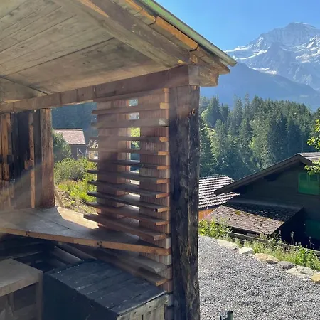 Ledibach * Wengen
