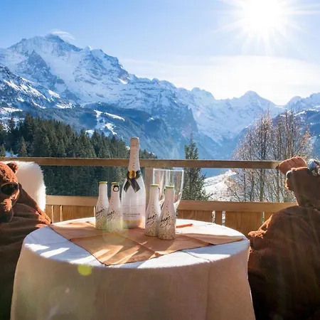 Ledibach Wengen