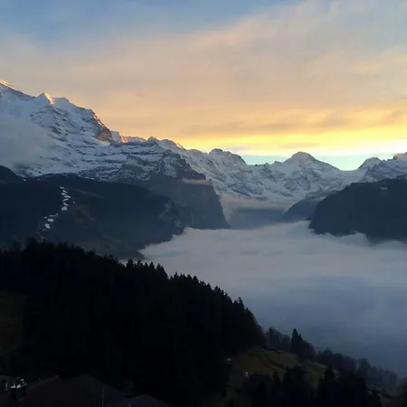Horská chata Ledibach Wengen