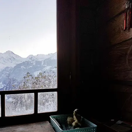 Alpehytte Ledibach *