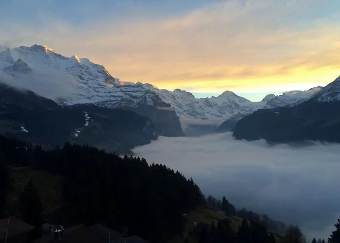 Chalet Ledibach Wengen
