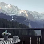 Alpehytte Ledibach Wengen