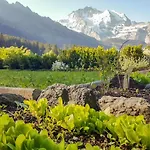 Ledibach Wengen