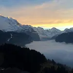 Alpehytte Ledibach Wengen
